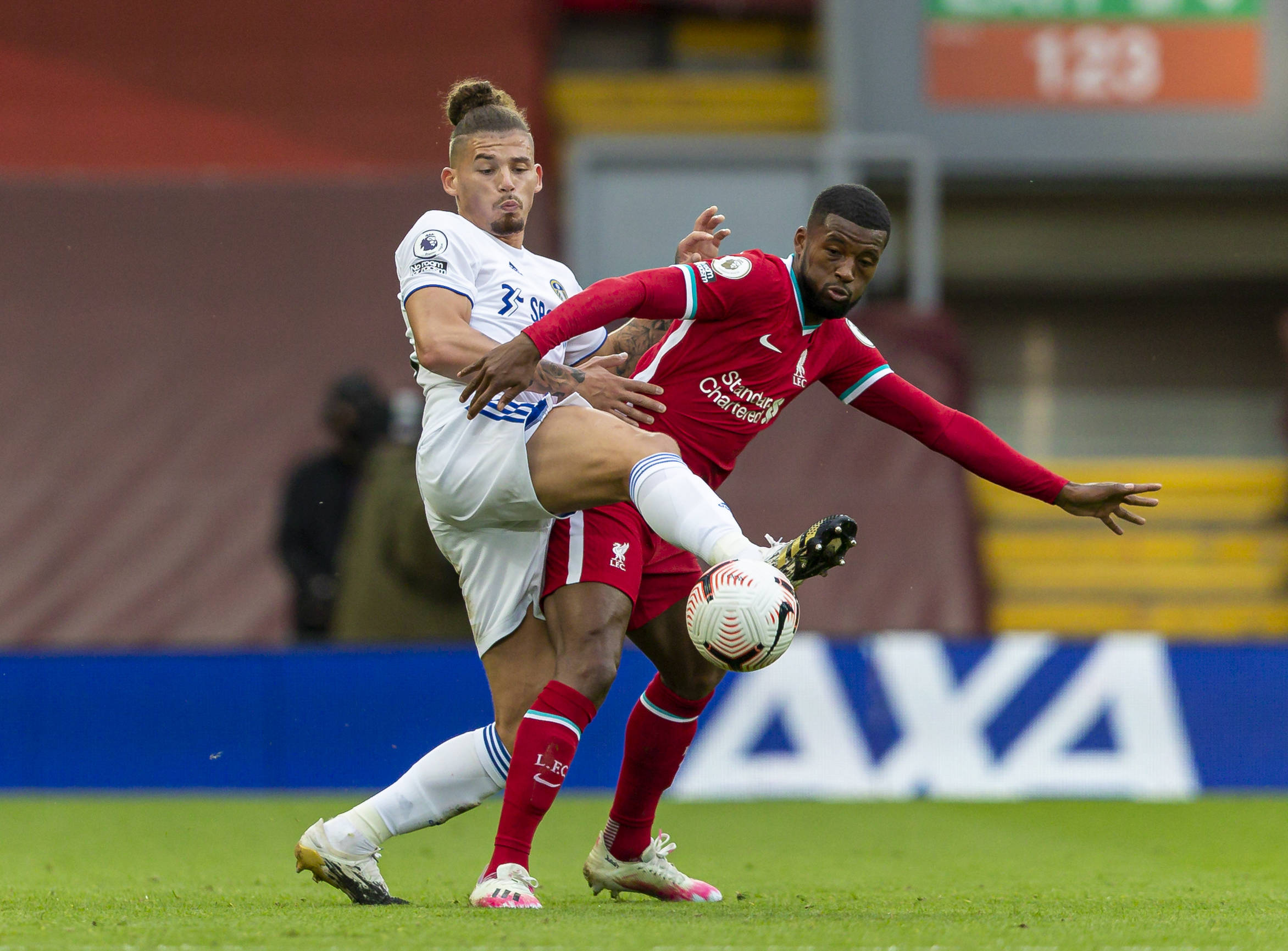 新引进的球 新引进的球